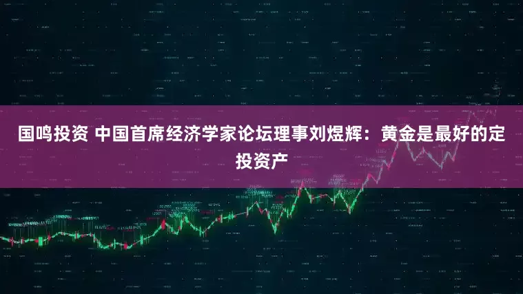 国鸣投资 中国首席经济学家论坛理事刘煜辉：黄金是最好的定投资产