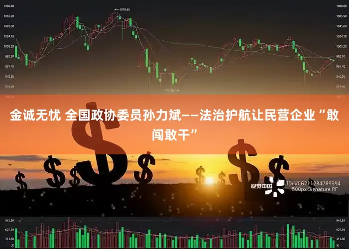 金诚无忧 全国政协委员孙力斌——法治护航让民营企业“敢闯敢干”