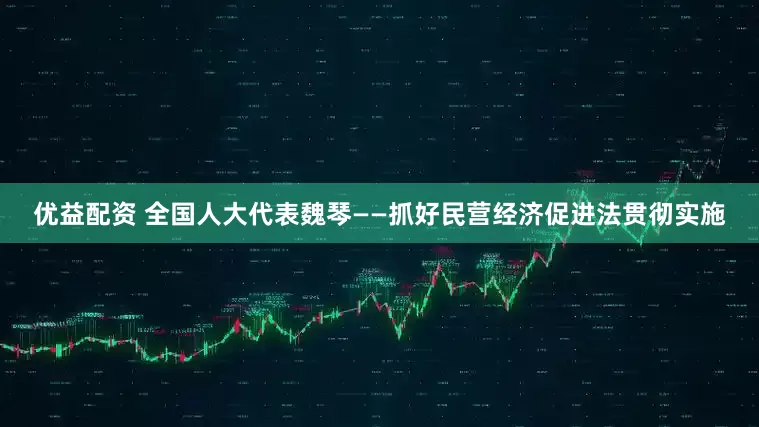 优益配资 全国人大代表魏琴——抓好民营经济促进法贯彻实施