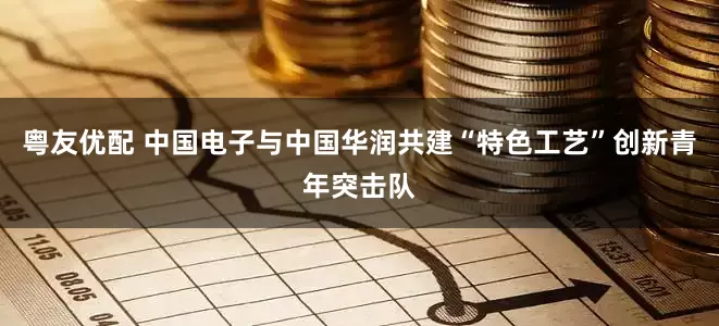 粤友优配 中国电子与中国华润共建“特色工艺”创新青年突击队