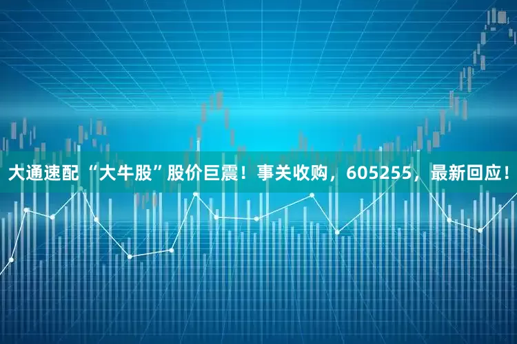大通速配 “大牛股”股价巨震！事关收购，605255，最新回应！