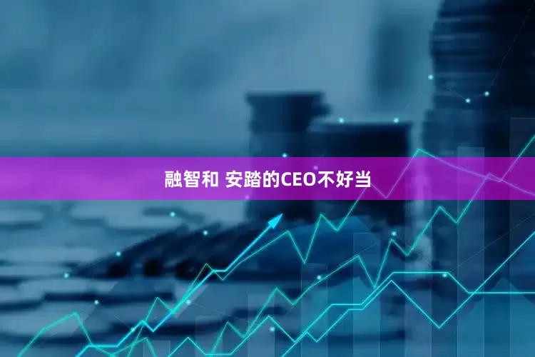 融智和 安踏的CEO不好当